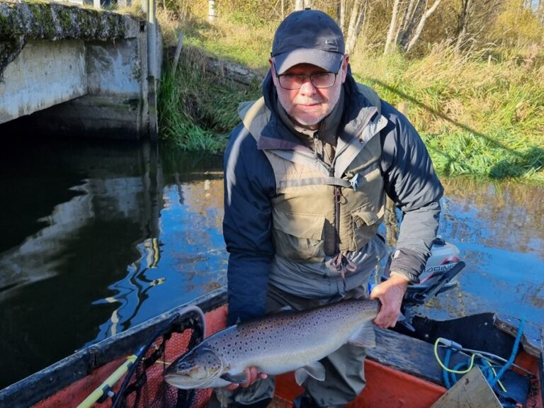 Havørred fra Alling Å